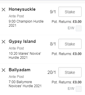 Horse Racing Betting Betslip